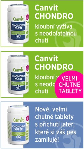 Canvit Chondro